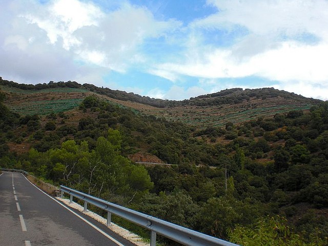 Prades (6)