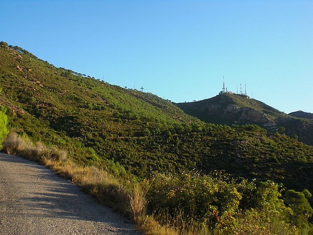 Monte Bartolo (15)