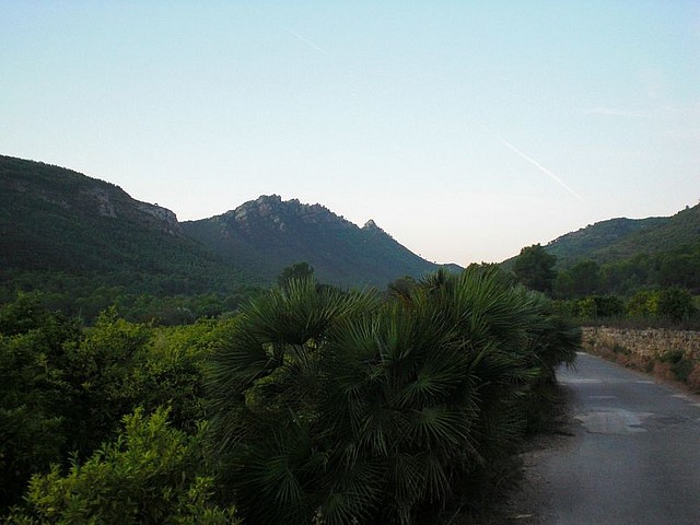 Monte Bartolo (1)