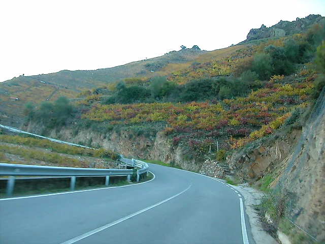 DSCN6545 DSCN6545