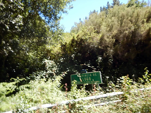 DSCN3914 DSCN3914