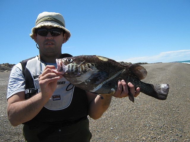 IMG_2790 IMG_2790