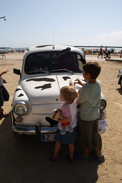 mis copilotos con el coche vaca