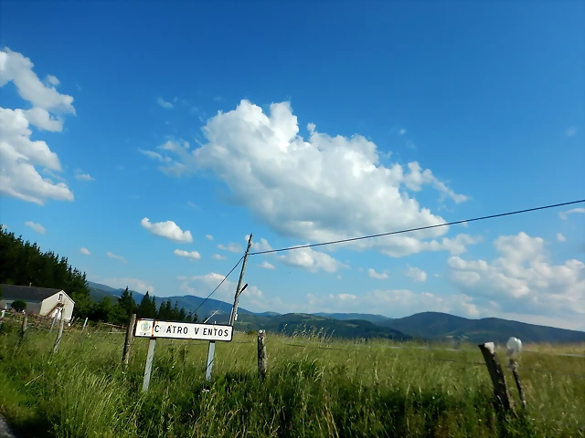 DSCN2379 DSCN2379