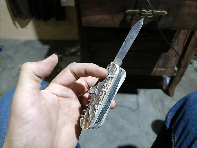 cuerno de venado cuerno de venado