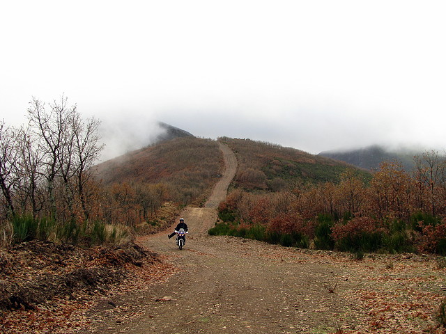 IMG_3624 IMG_3624