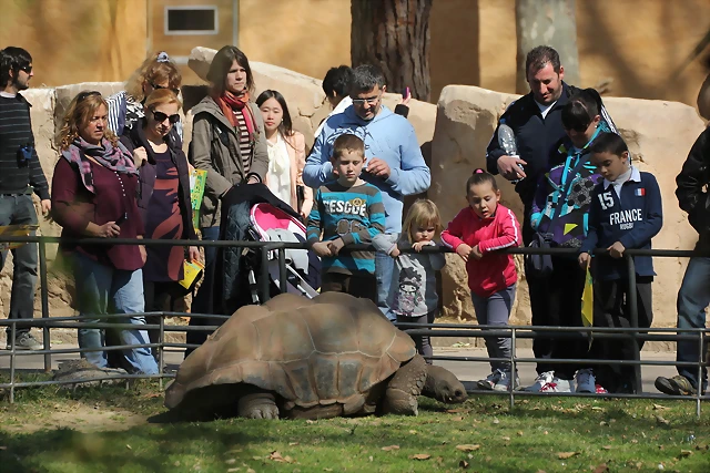 Zoo de Barcelona 10-03-12 307 Zoo de Barcelona 10-03-12 307