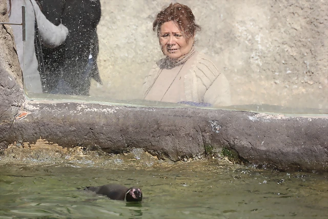 Zoo de Barcelona 10-03-12 434 Zoo de Barcelona 10-03-12 434