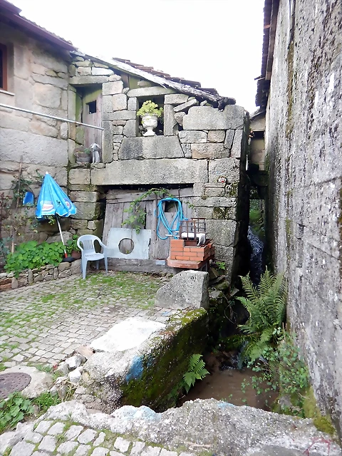DSCN2109 DSCN2109