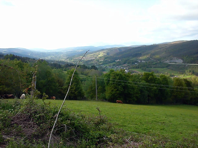 DSCN2823 DSCN2823