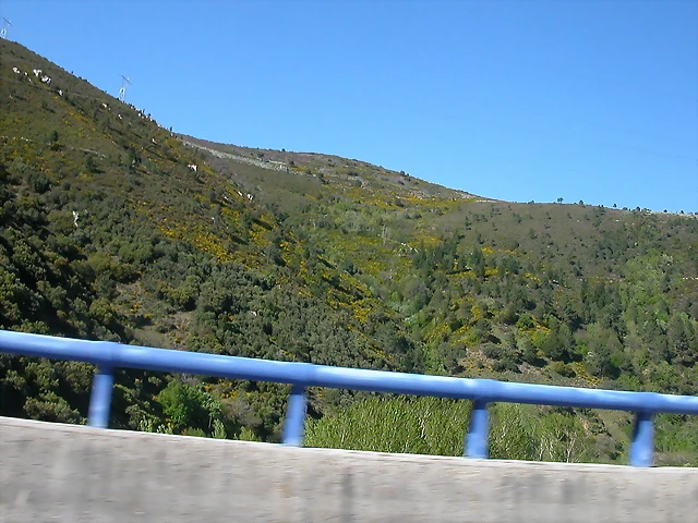 DSCN2791 DSCN2791