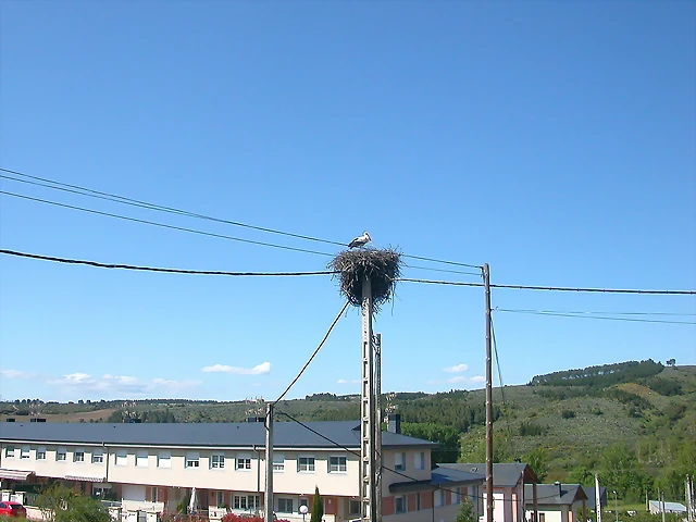 DSCN2721 DSCN2721