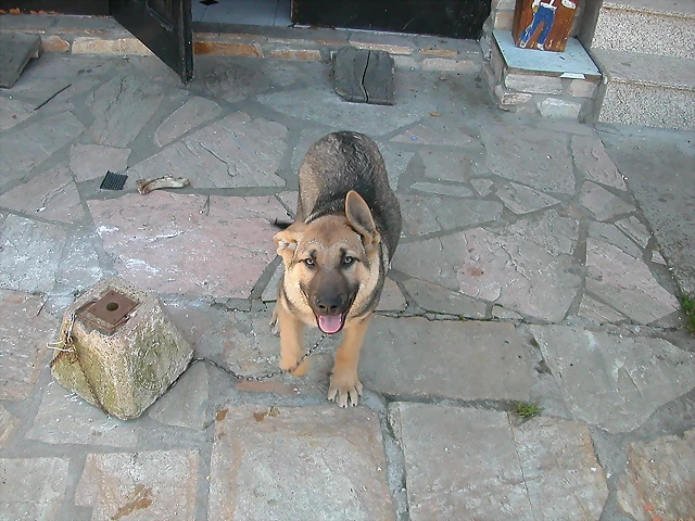 DSCN2617 DSCN2617