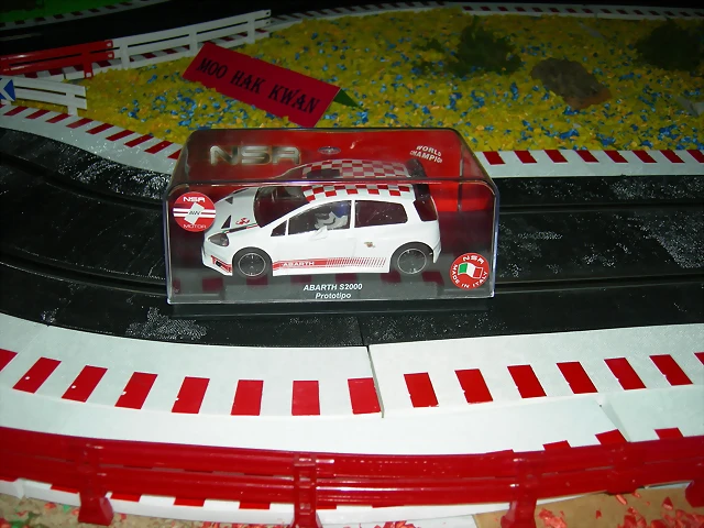 DSCN2833 DSCN2833