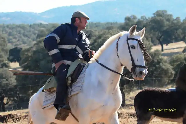 15, Jess en su yegua blanca, marca