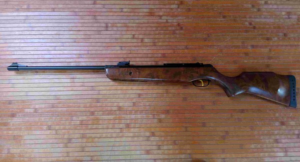 Gamo Hunter 440 WT002