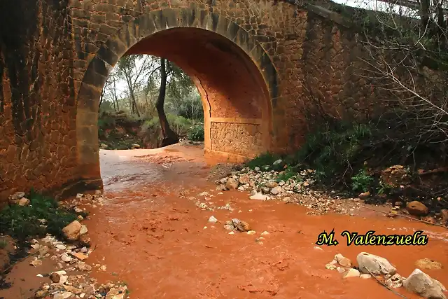 14, puente, marca