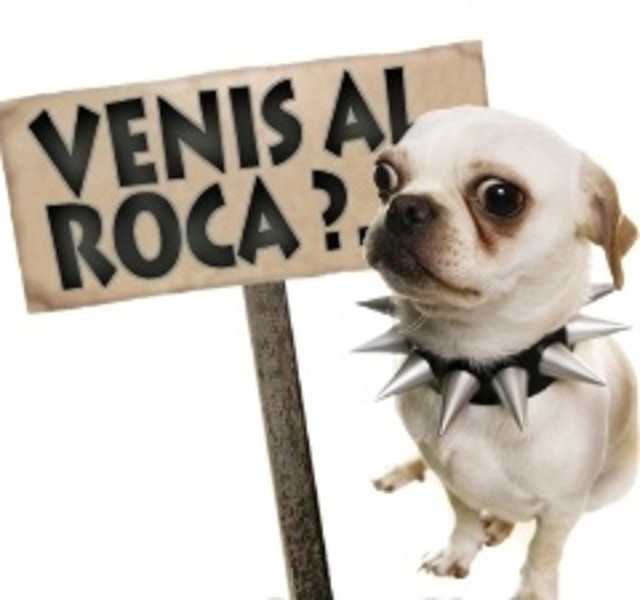 Venis al Roca