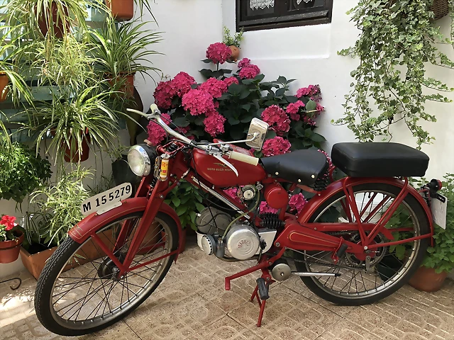 guzzi_patio guzzi_patio