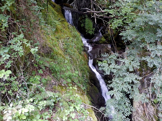 DSCN1397 DSCN1397