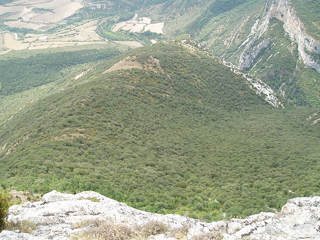P9120043 P9120043