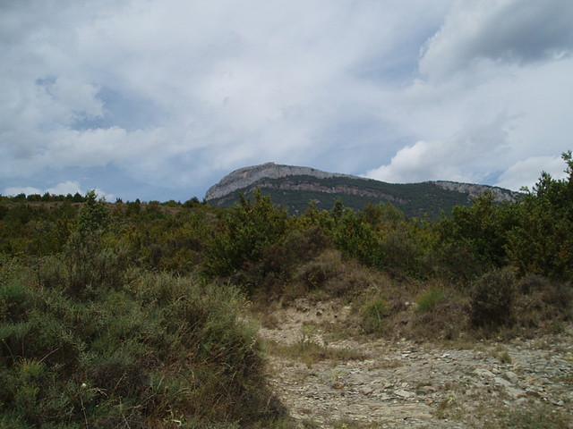 P9120050 P9120050