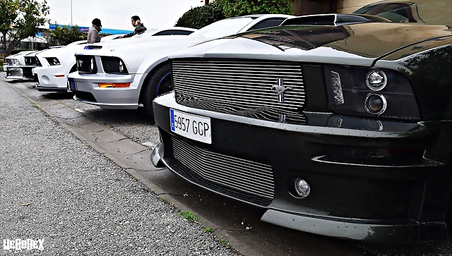 DSC_0780 DSC_0780