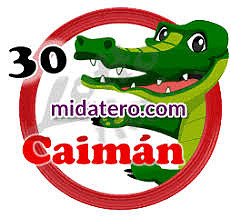 caiman