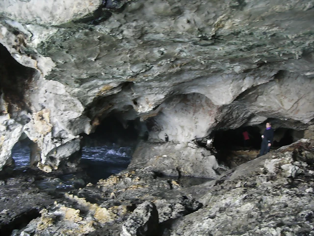 R0012771 R0012771