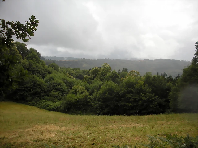 DSCN4725 DSCN4725