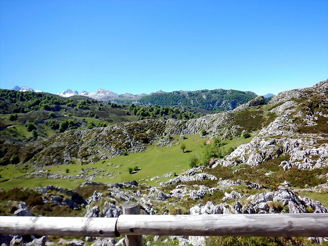 DSCN2652 DSCN2652