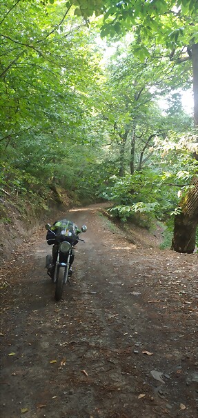 IMG_20220808_154410_1 IMG_20220808_154410_1