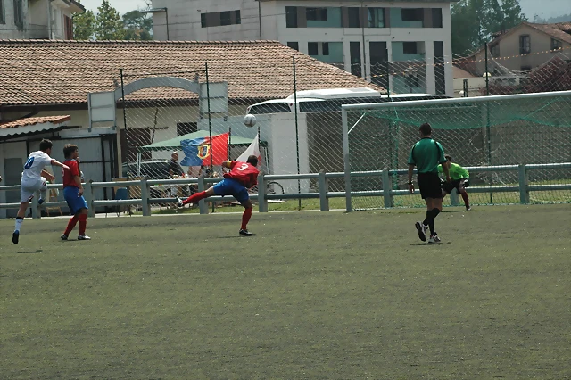 DSC_0104 DSC_0104