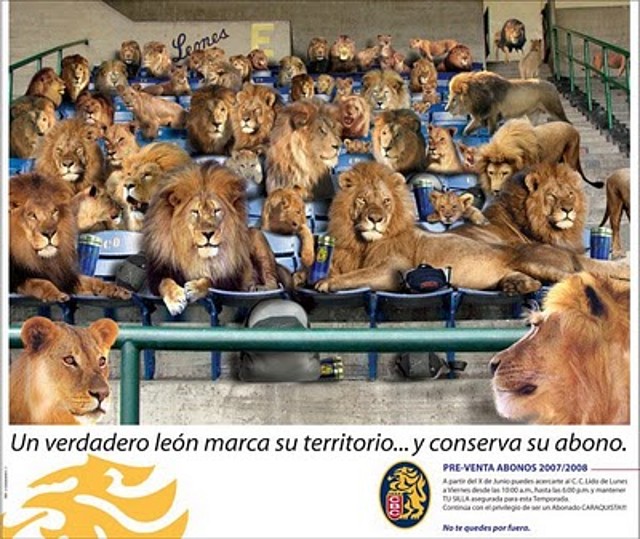 aviso leones del caracas