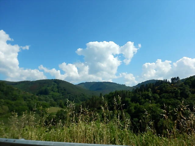 DSCN2307 DSCN2307