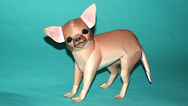 Chihuahua (Cabeza de manzana) Papercraft