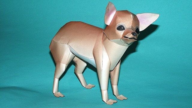 Chihuahua (Cabeza de manzana) Papercraft