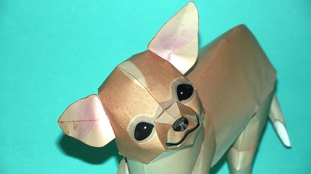 Chihuahua (Cabeza de manzana) Papercraft