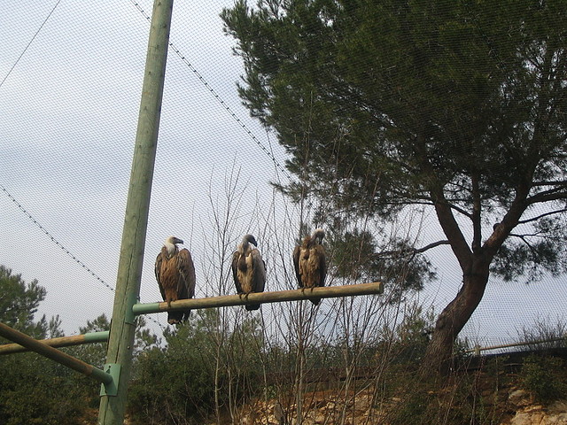 LaBarben 110 LaBarben 110