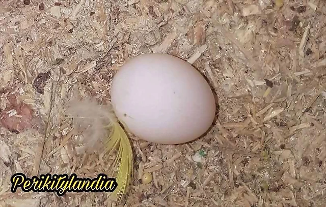 FB_IMG_1537614349032 FB_IMG_1537614349032