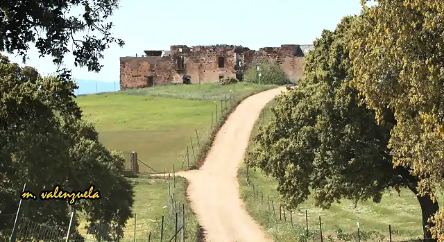 09, la carnicera, marca