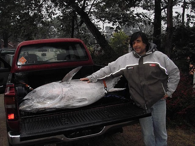 entre carilo y gesell