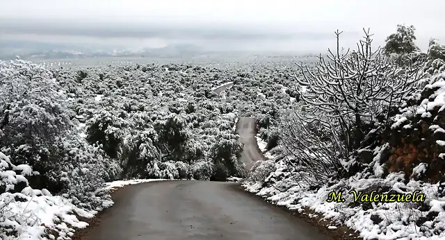 03, cuesta blanca, marca