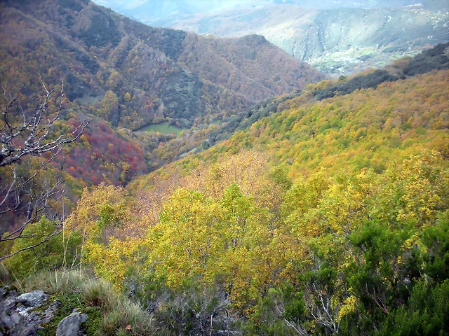 DSCN0651 DSCN0651