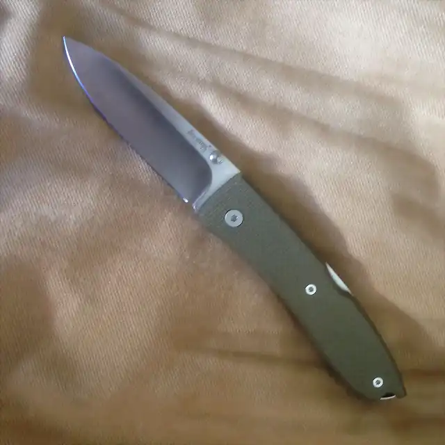 Lionsteel2