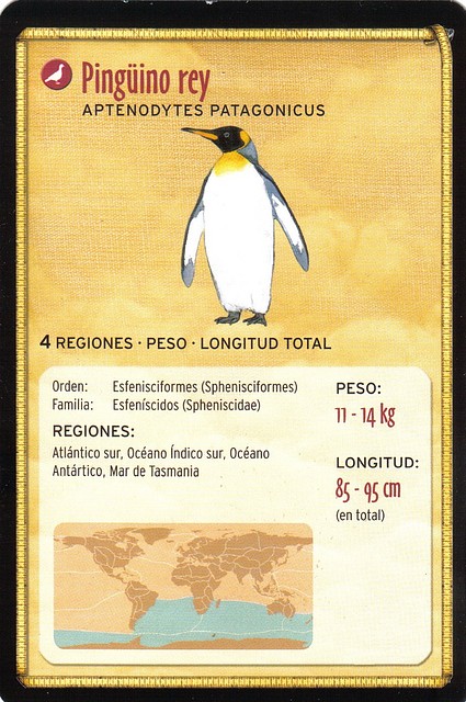 pinguino rey