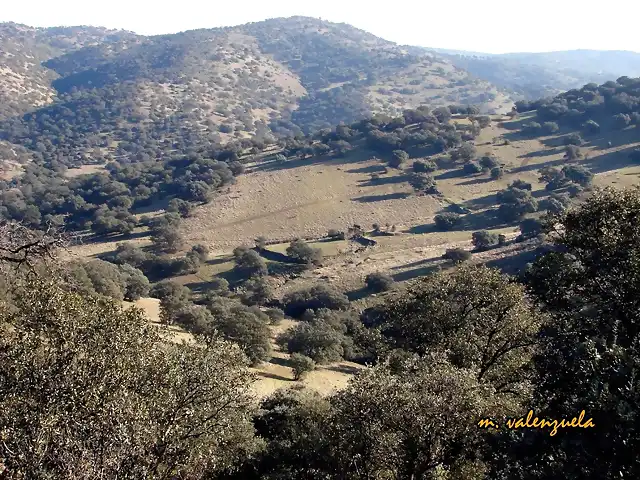 20, cortijo rajao, marca