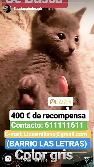 Mar?a IG Stories 12-5-2019 (4) Mar?a IG Stories 12-5-2019 (4)