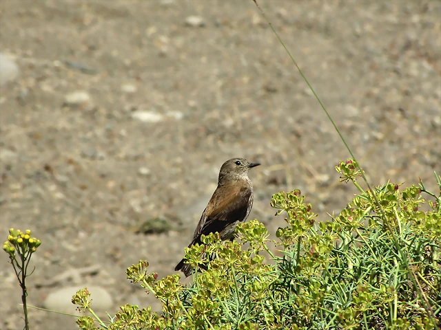 IMG_6972-copia IMG_6972-copia