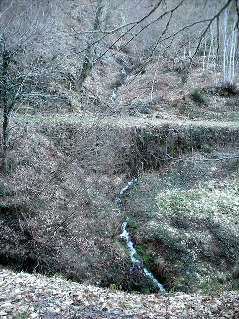 DSCN2976 DSCN2976
